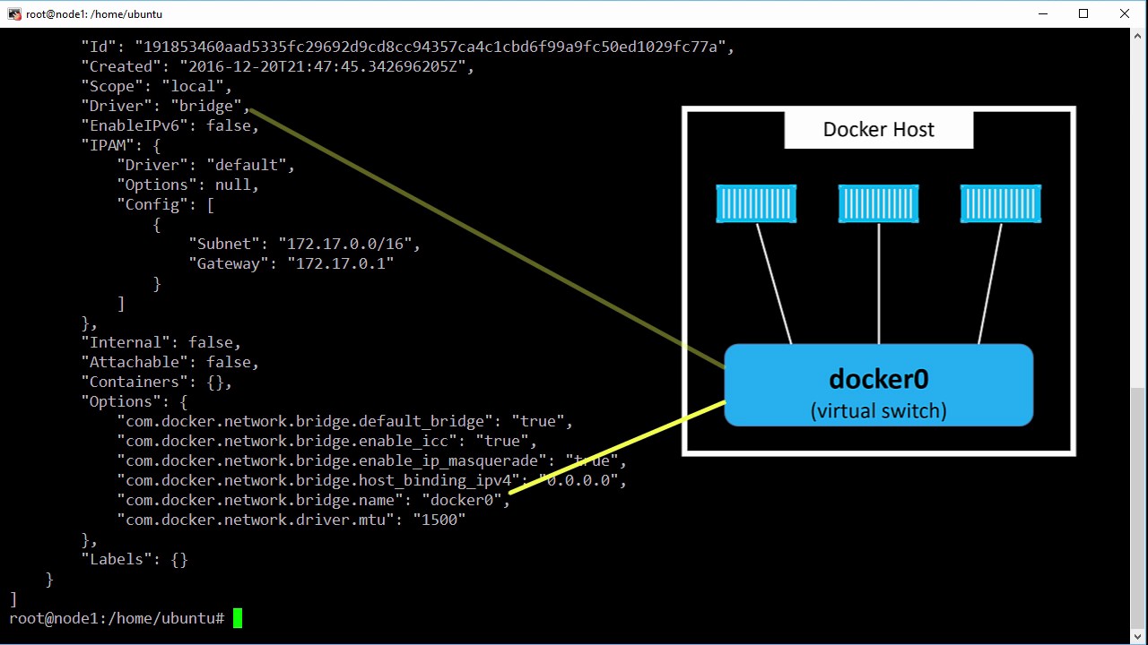 docker for mac host ip in container